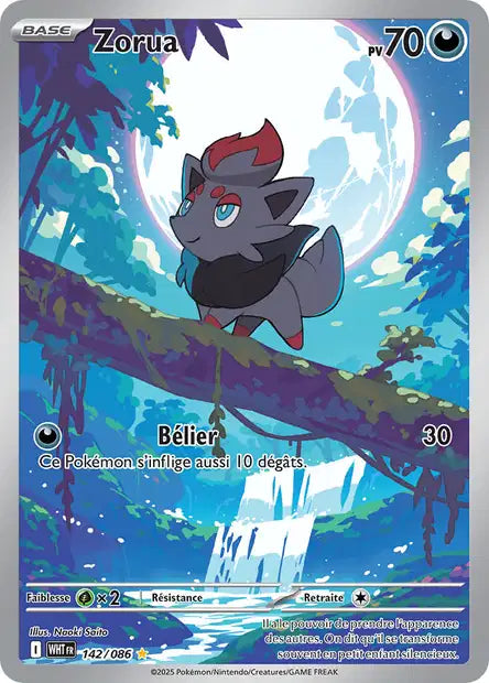 Zorua (WHT 142)