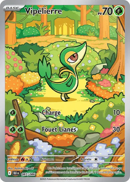 Vipélierre (BLK 87)